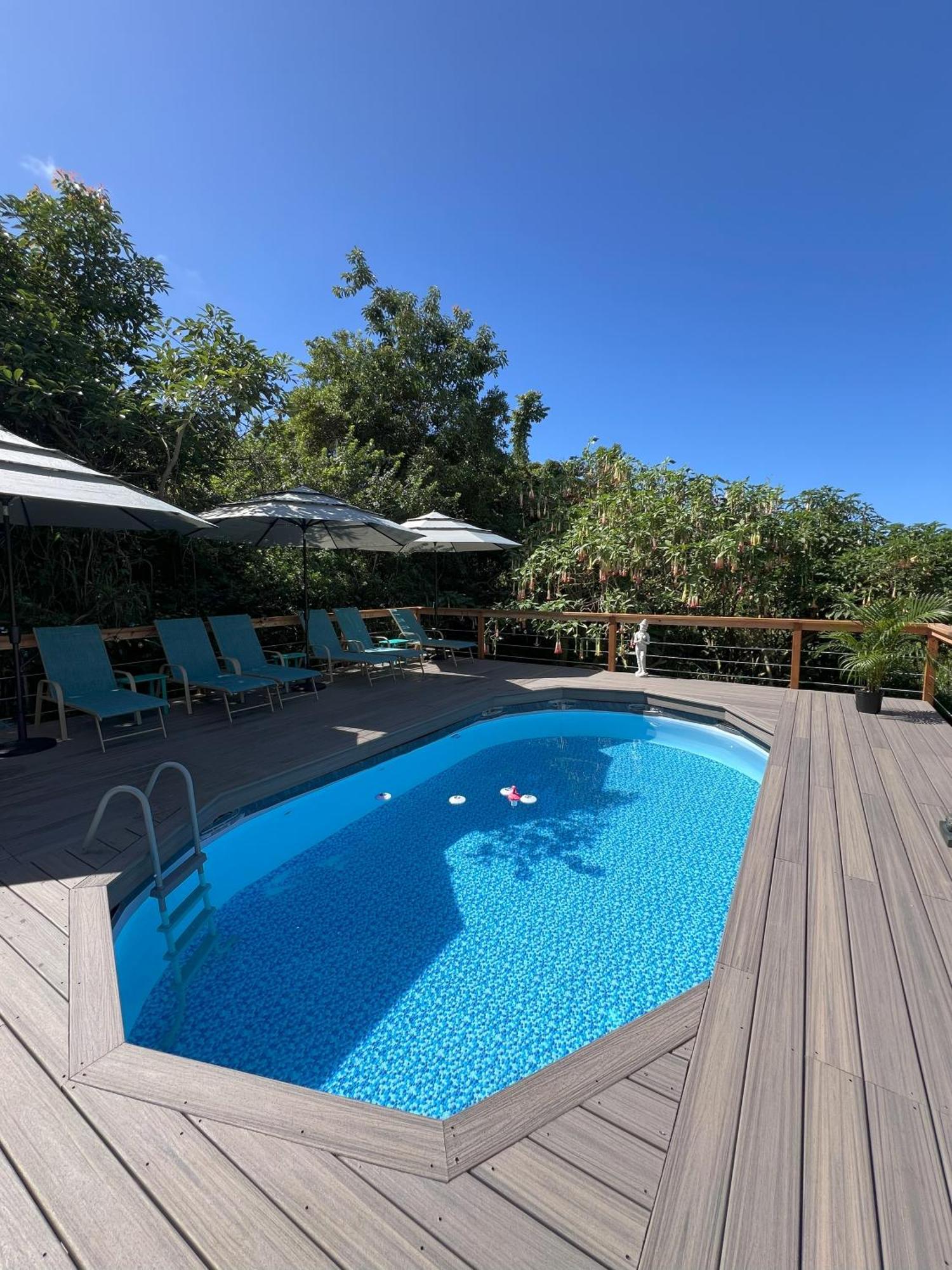 Manta Soul Jungle Geodome Otel Kealakekua Dış mekan fotoğraf